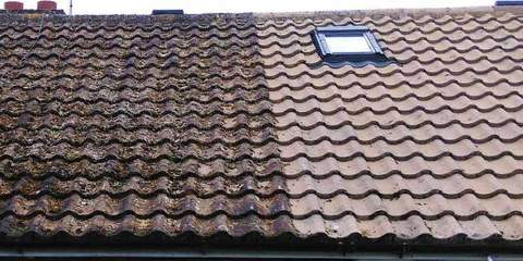 best roof cleaners