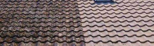 best roof cleaners